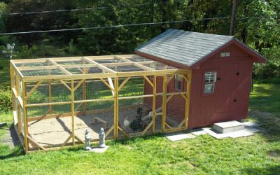Quelles sont les 7 étapes essentielles pour construire un poulailler soi-même ?
