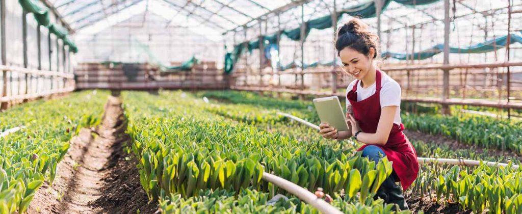 constructions liées à une activité agricole