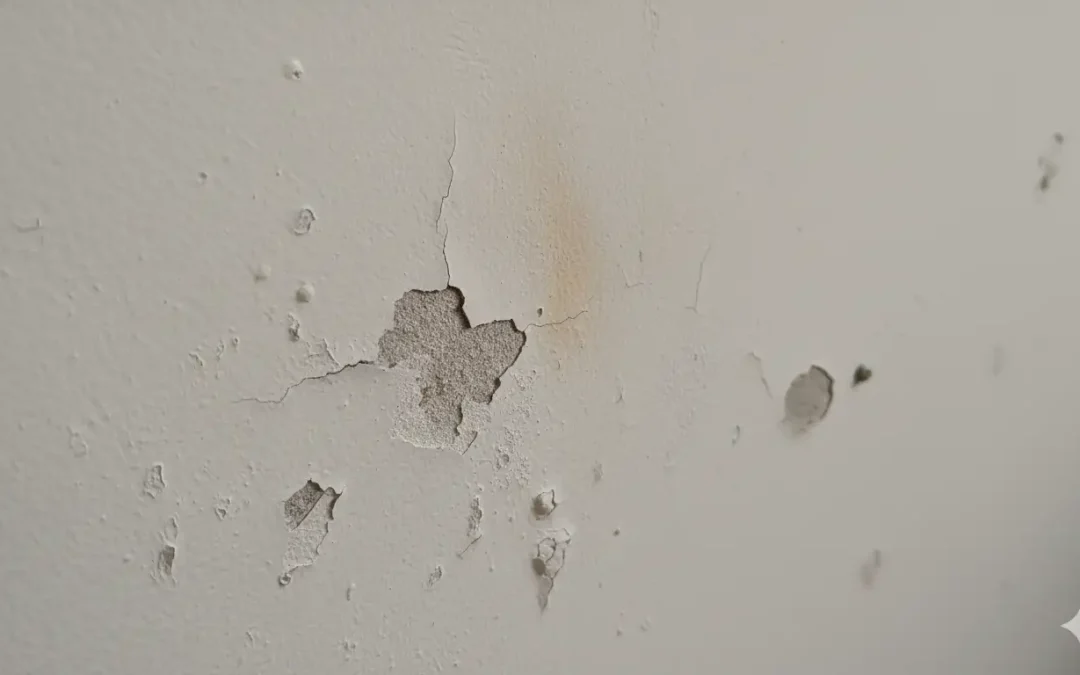 Quels sont les inconvénients de la peinture à la chaux ?