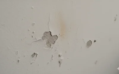 Quels sont les inconvénients de la peinture à la chaux ?