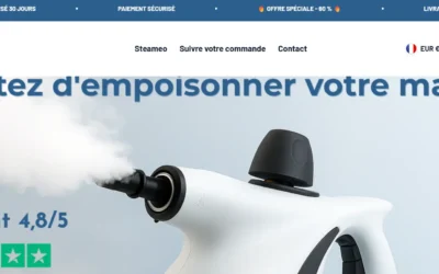 Quels sont les avis sur le nettoyeur vapeur Steameo ?